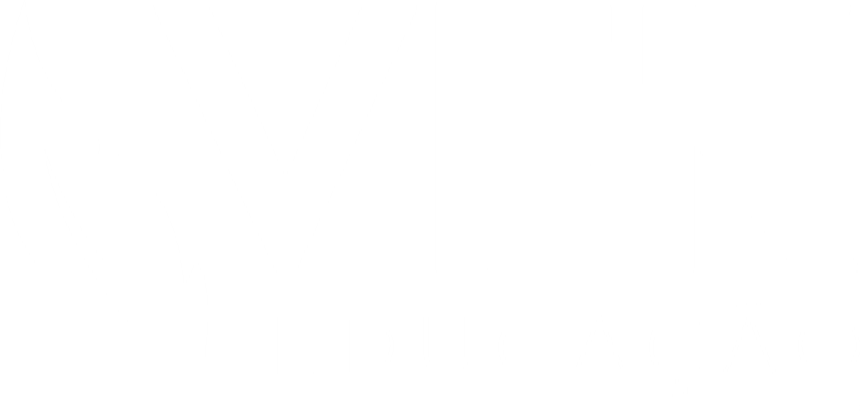 vfk-logo-website